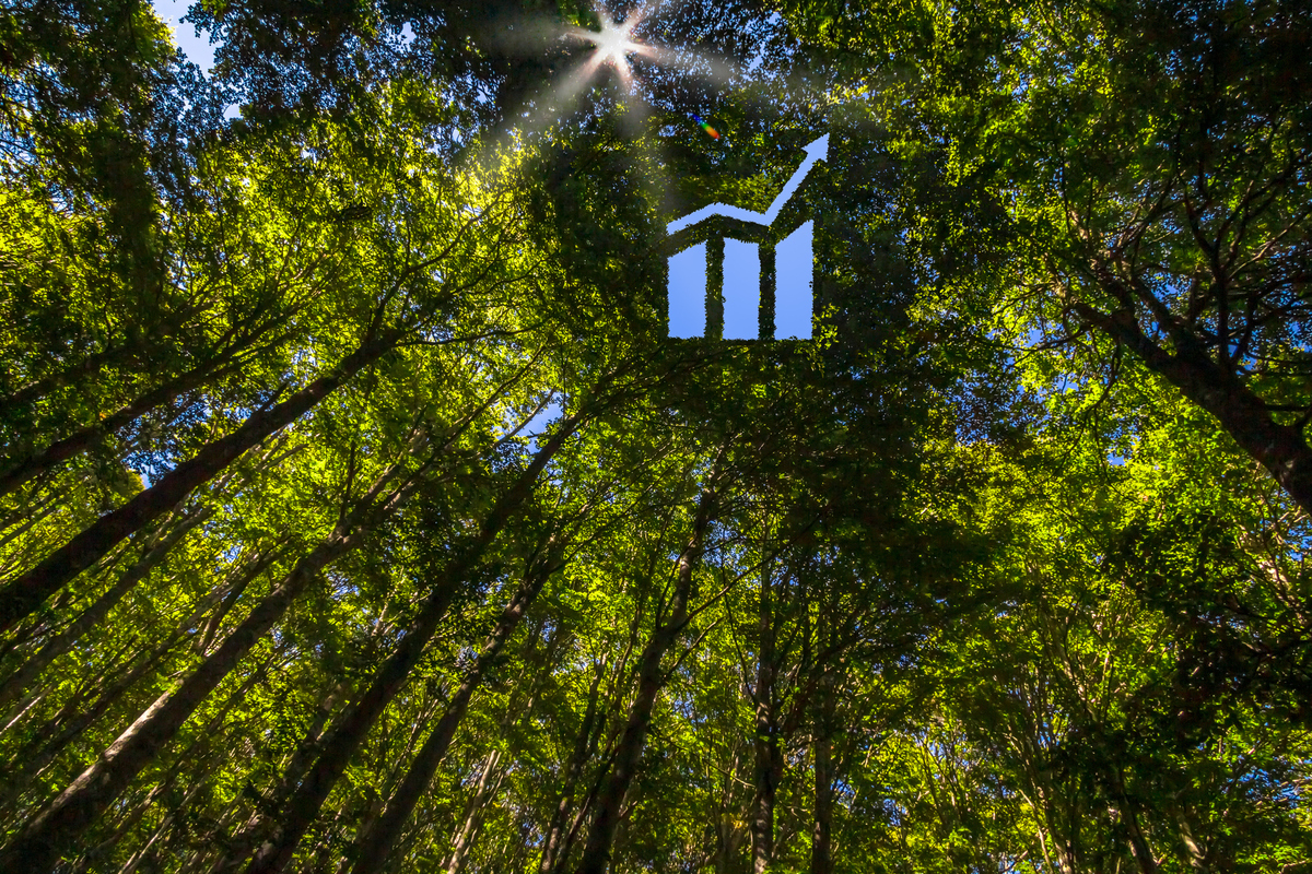 The International Sustainability Standards Board (ISSB) | CEF Explains