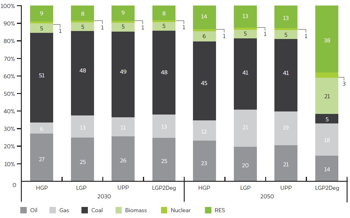 Future of India's Natural Gas