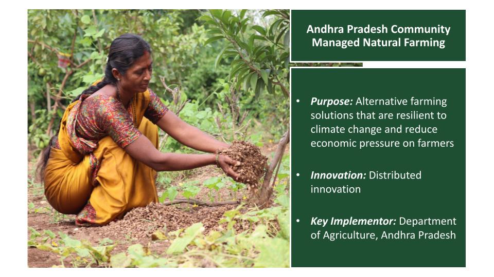 Andhra Pradesh community managed natural farming