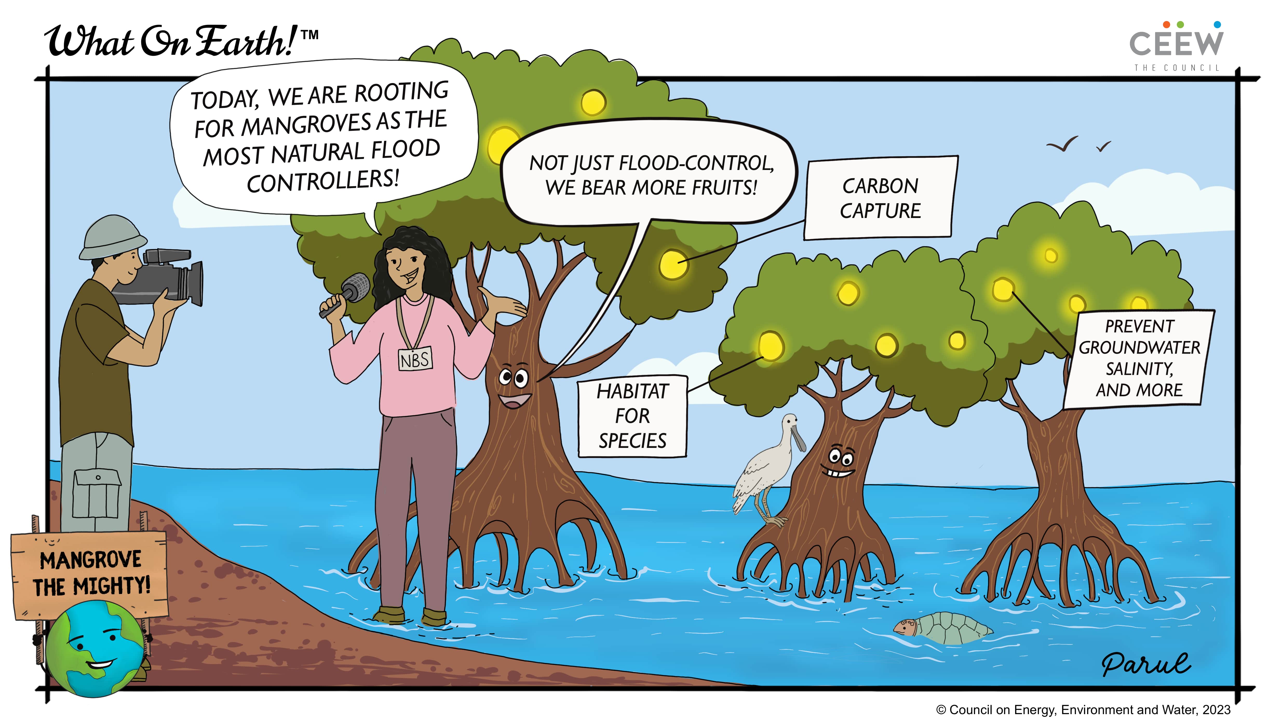 Mangroves cartoon