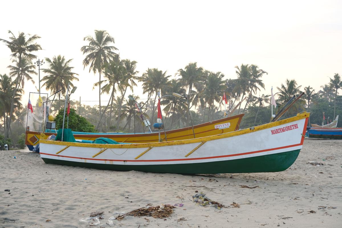 Solar e-boats can Boost Fishermen's Income by 84%