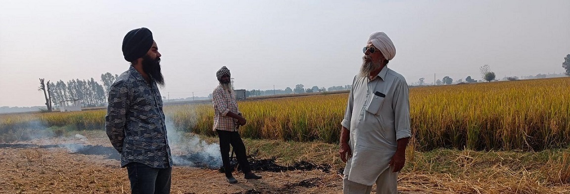 farm fires punjab