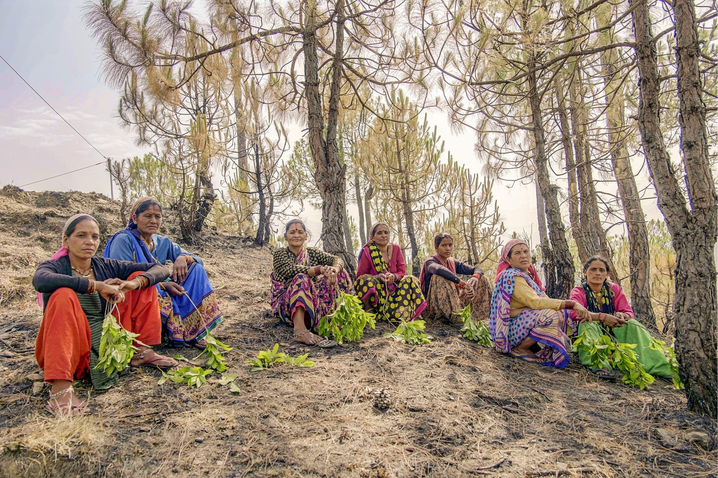 climate change in uttarakhand