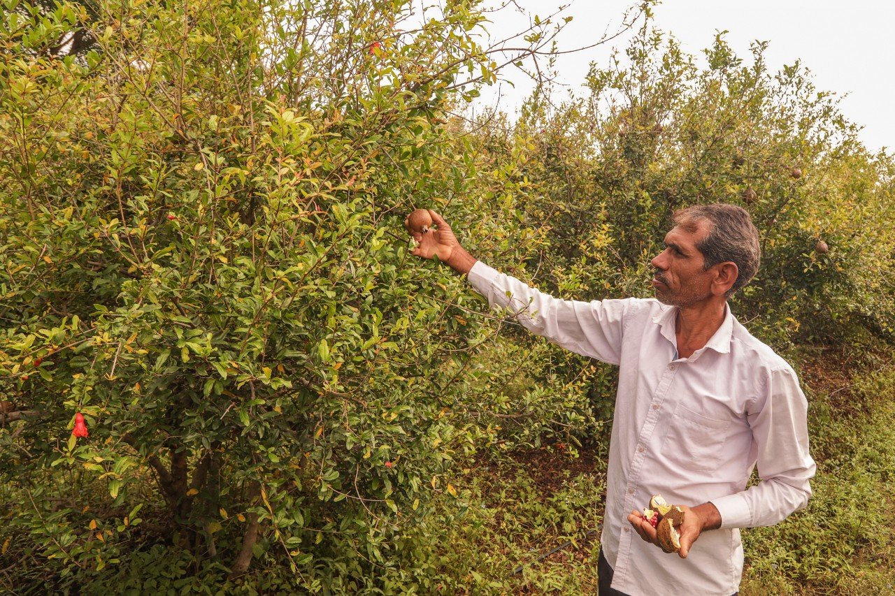 drought adaptation india