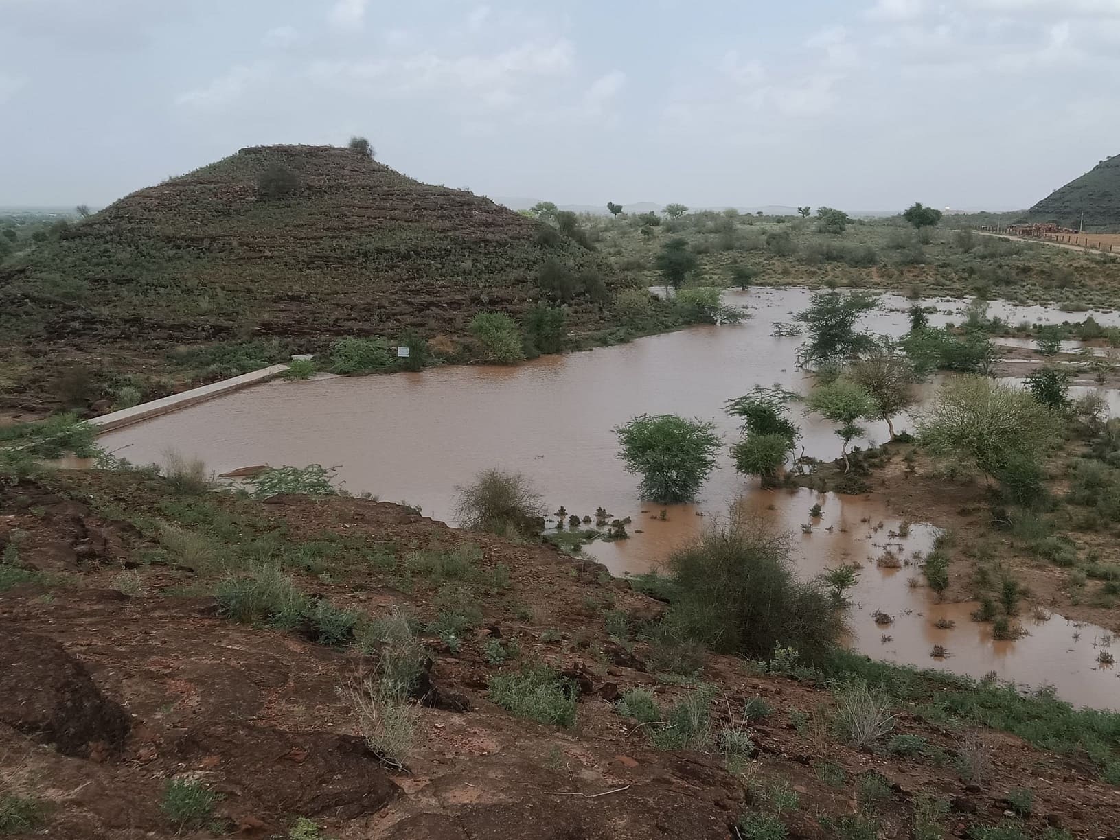 Checking Climate Impacts