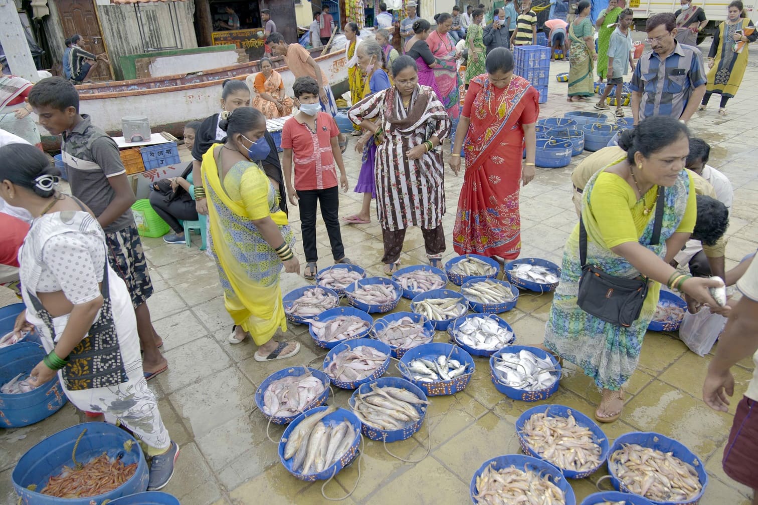 climate change impact on mumbai's fishermen