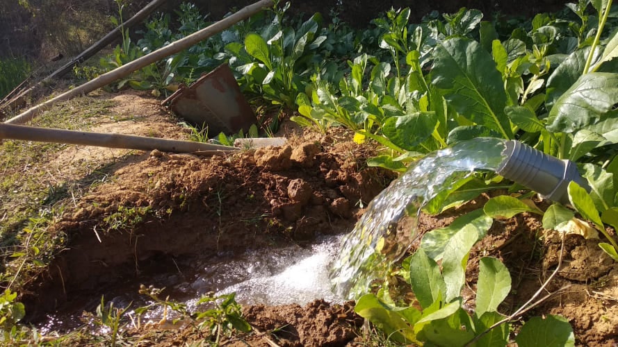 solar pump irrigation india