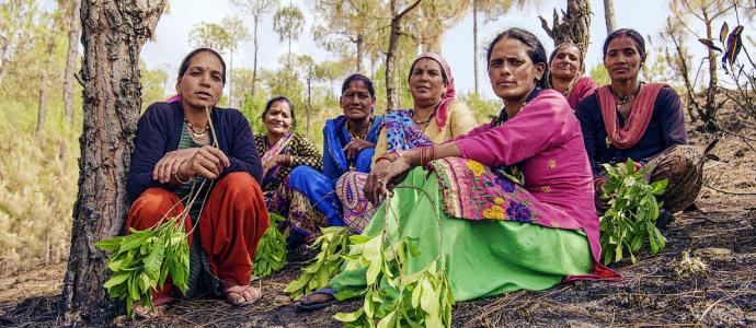 building climate resilience india