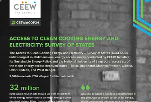 Access to Clean Cooking Energy and Electricity – Survey of States