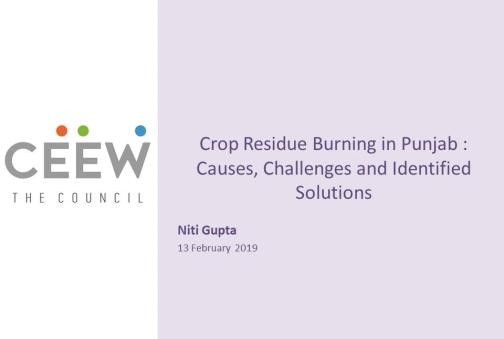 Crop Residue Burning in Punjab: Causes, Challenges, and Identified Solutions