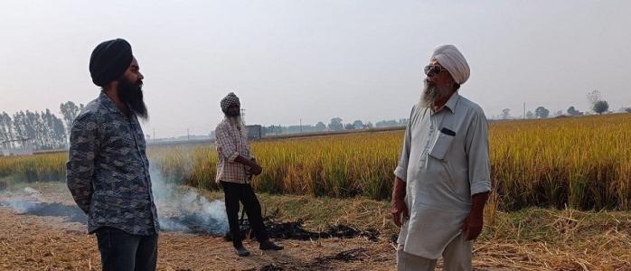 farm fires punjab