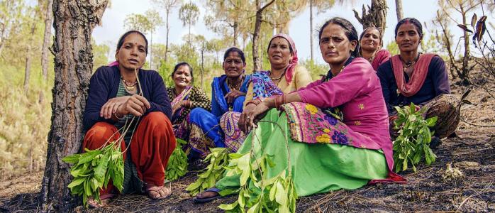 building climate resilience india