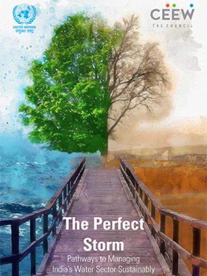 CEEW UN The Perfect Perfect Storm