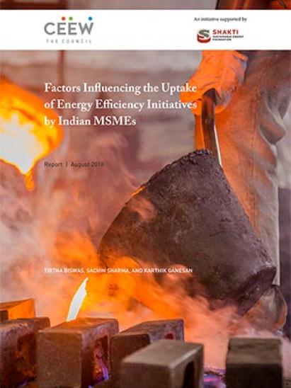 CEEW Factors Influencing