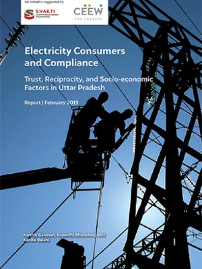 Electricity Consumers and Compliance