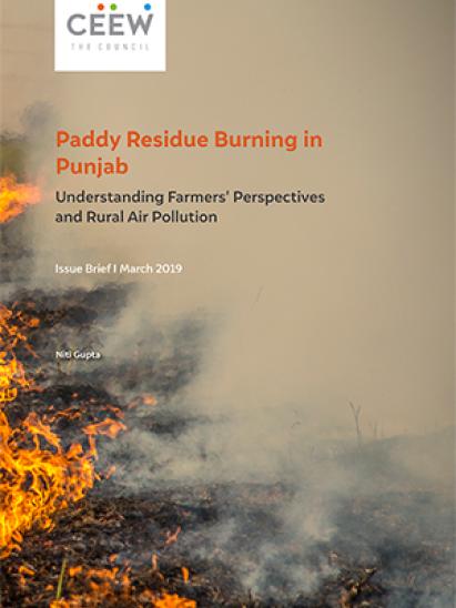 crop burning and pollution india