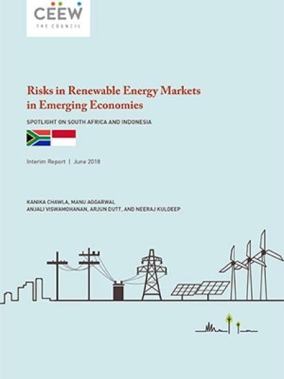 Risks in Renewable