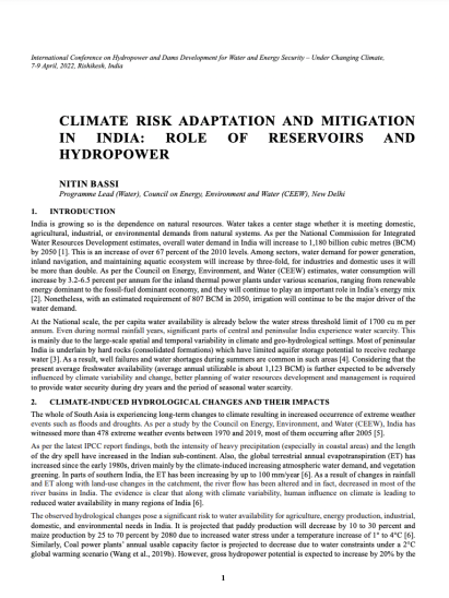 Climate Risk Adaptation and Mitigation in India