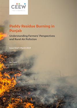 Paddy Residue Burning in Punjab