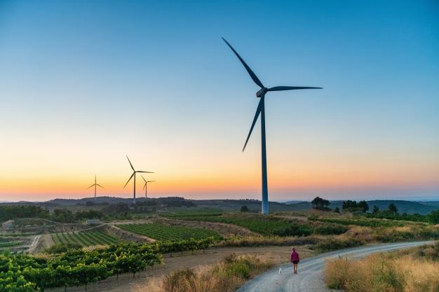 India's Journey Towards 500 GW: Reaching the Capacity and Investment Targets