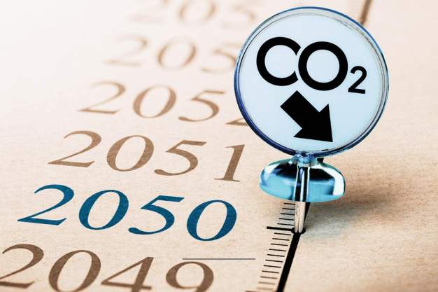 Sectoral Pathways for a Net-Zero Future for India: Implications and Feasibility
