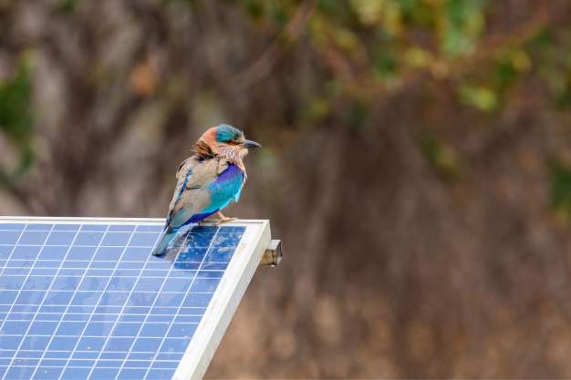 National Dialogue on Solar Circular Economy