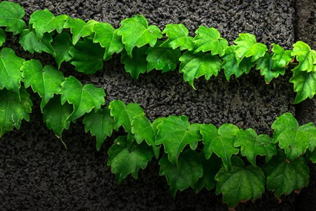 Mitigation instruments for achieving India's climate and development goals 