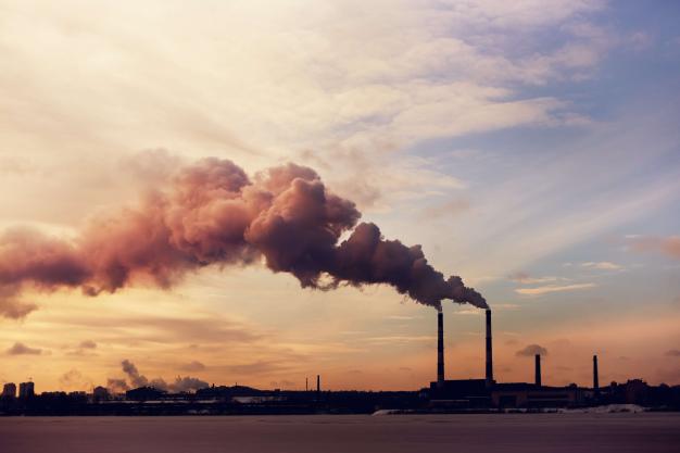 Role of Border Carbon Adjustments in Raising Climate Ambition