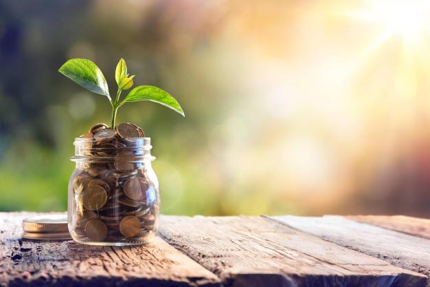 The Road to Recovery with India’s First Green Window