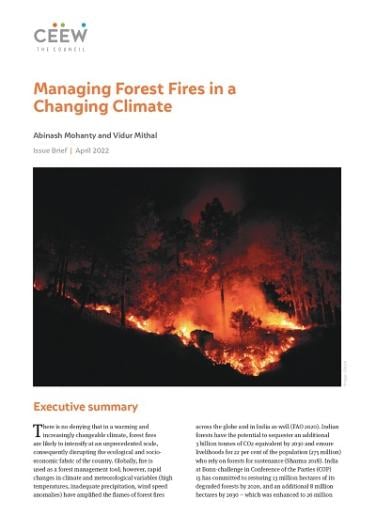 research paper on forest fire in india